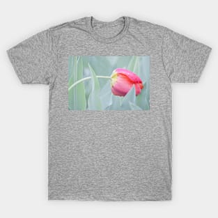 Drooped Tulip T-Shirt